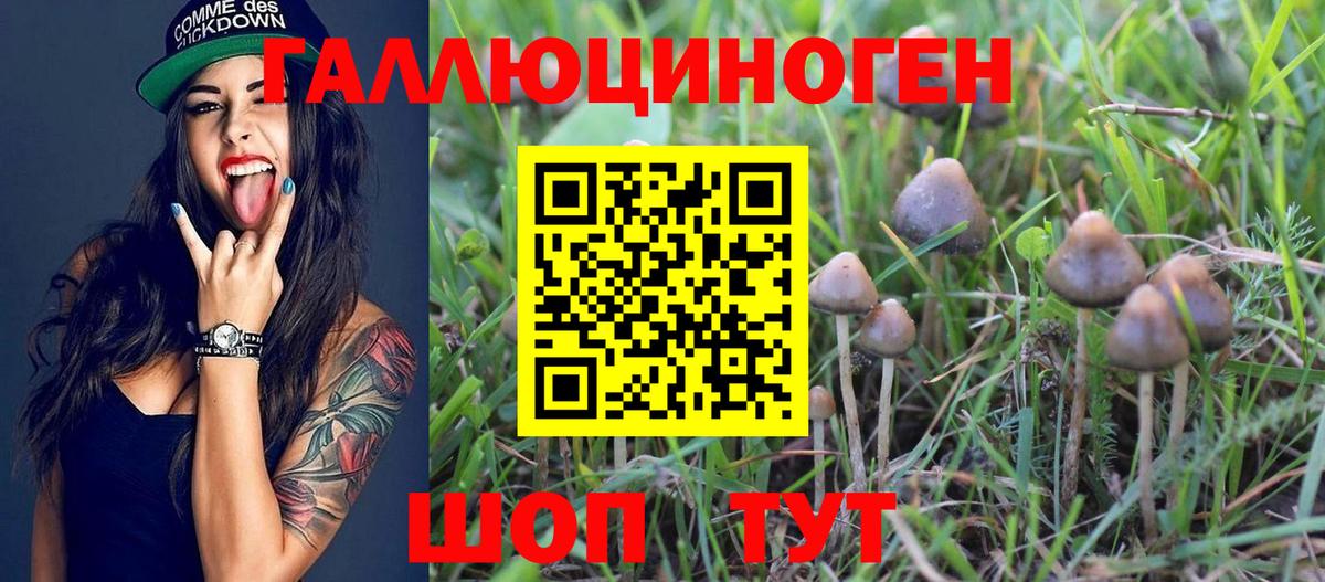 Ликино-Дулёво  Псилоцибиновые грибы MAGIC MUSHROOMS  Вход с VPN 